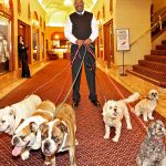 Los hoteles para perros más lujosos del mundo